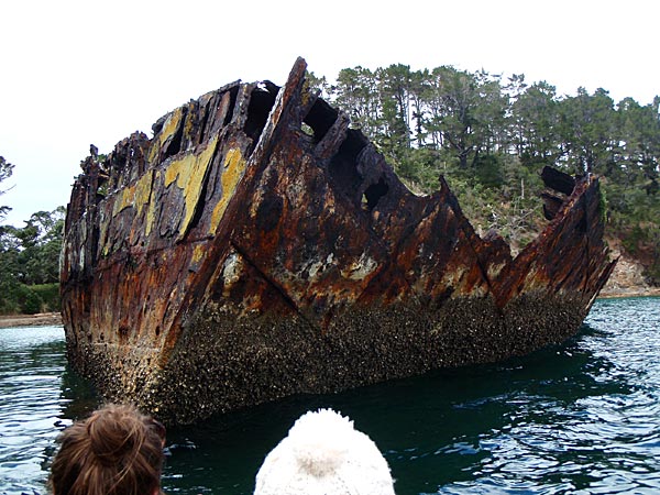 2009-NZ-Adventure-hylky.jpg