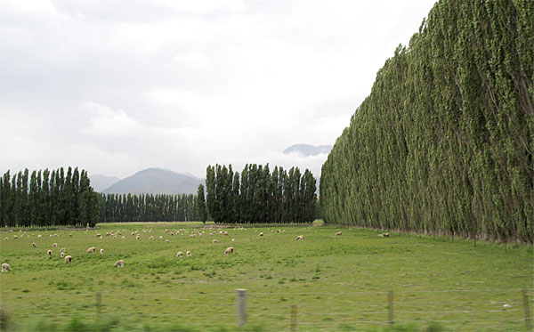 2009-NZ-Etelasaari-Laitumien-tuuliaitoja.jpg