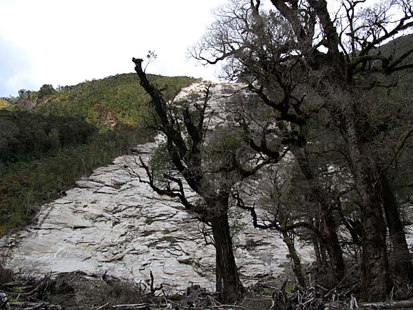 2009-NZ-Etelasaari-Milford-Sound-lumivyoryn-jalkia-rinteessa.jpg