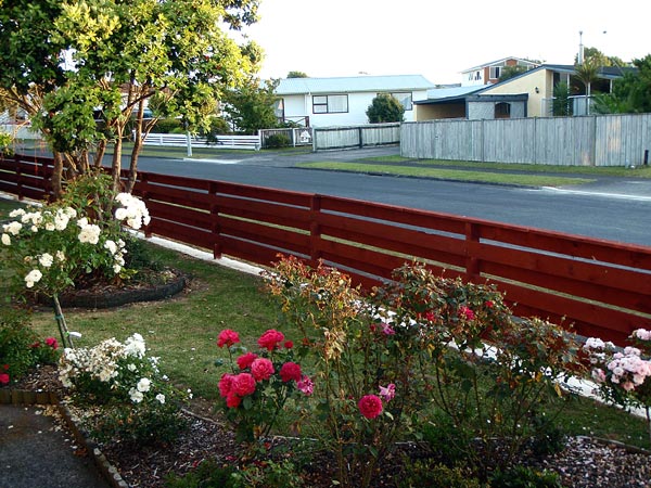 2009-NZ-Etupiha.jpg