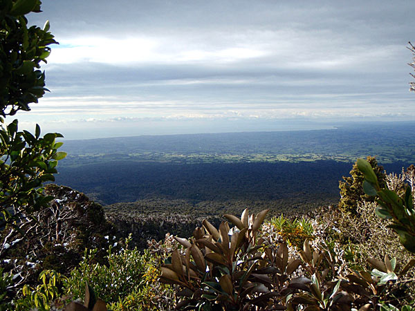 2009-NZ-Mt-Taranakilta-rannikolle.jpg