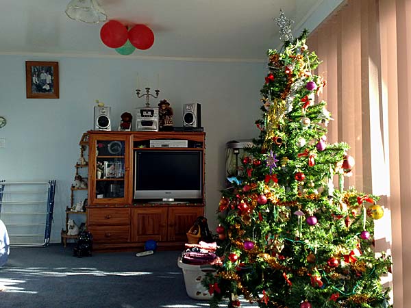 2009-NZ-Pohjoissaari-Joulukuusi-olohuoneessa.jpg
