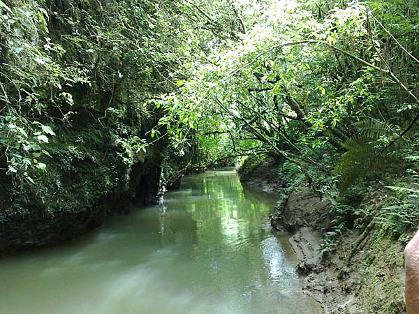 2009-NZ-Pohjoissaari-Waitomo-ja-virta-luolien-lapi.jpg