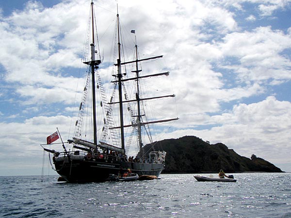 2009-NZ-Spirit-of-Adventure.jpg