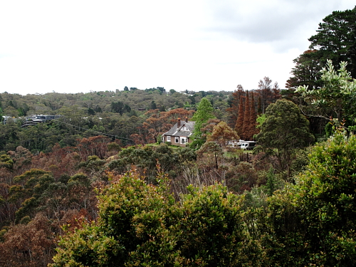 2011-AUS-Katoomban-maisemaa-2.JPG