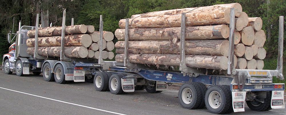 2011_NZ_tukkirekka.jpg