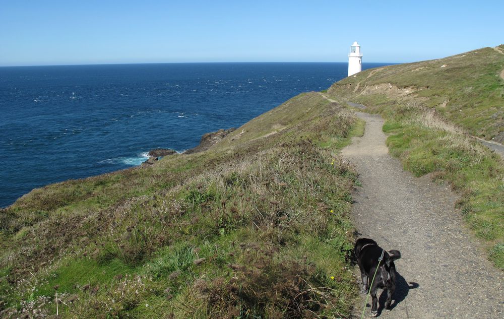 24_syksy_UK_Cornwall_Trevose_Head-majakka.jpg