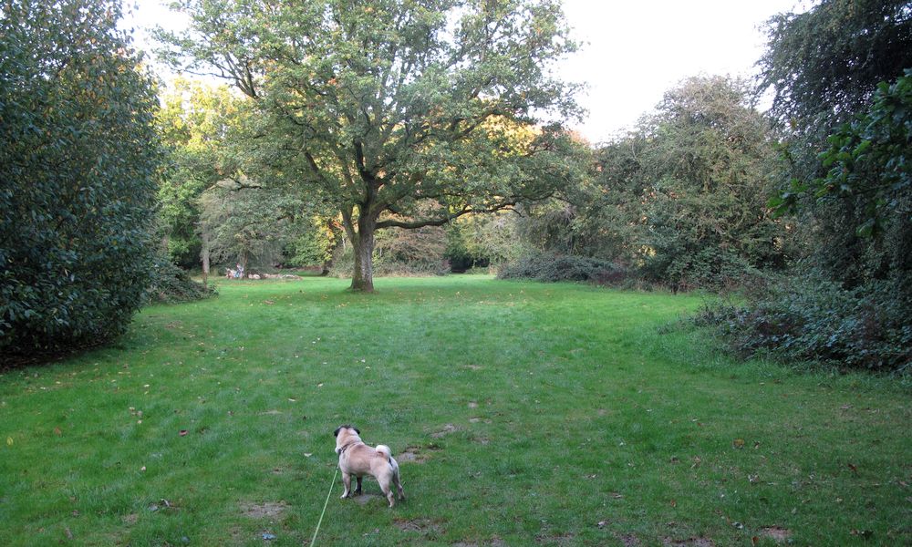 24_syksy_UK_Postern-Hill-Camping_ulkoilua.jpg
