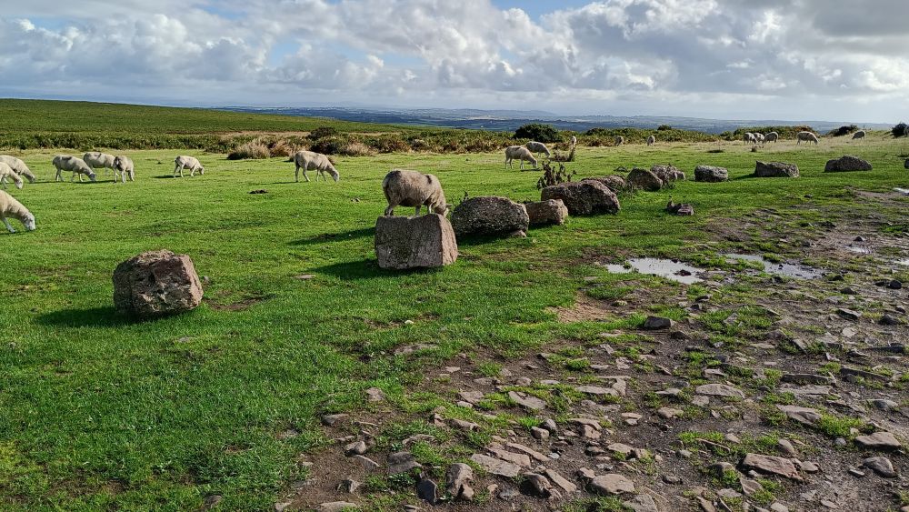 2026_UK_Cefn_Bryn_Common.jpg