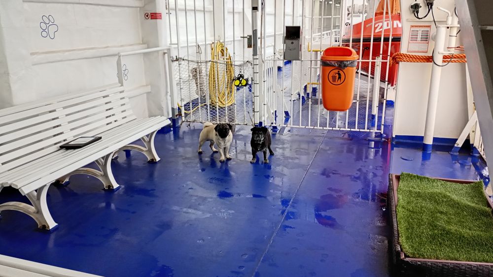 2026_UK_Stena_ulkoilua_kansi7.jpg