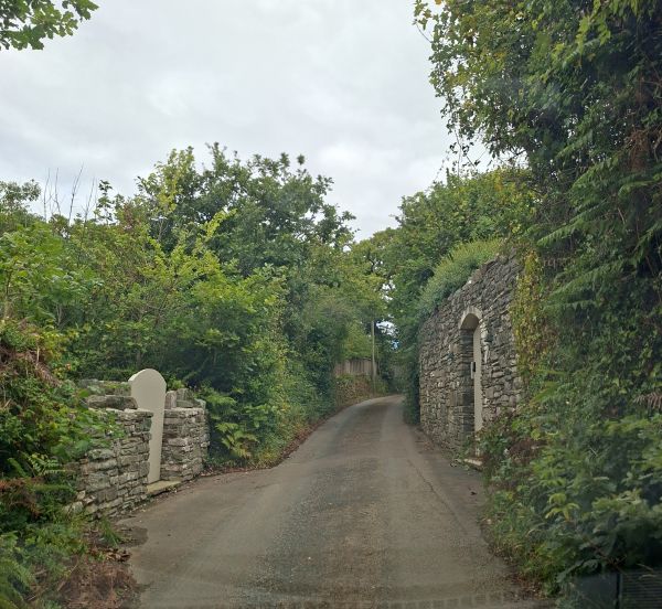2026_UK_kapeilla_kujilla_Irma.jpg
